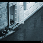 Ještě to byla sranda...